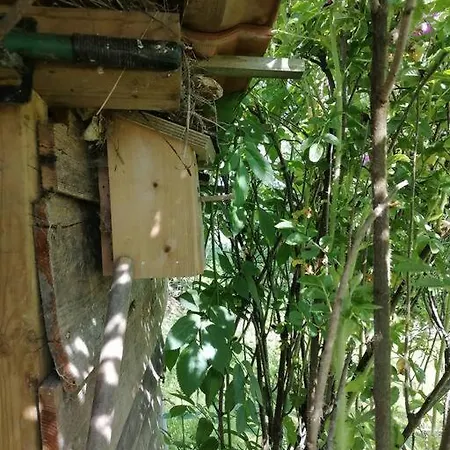 Rural La Ferme Du Semeur-zaaiershof
