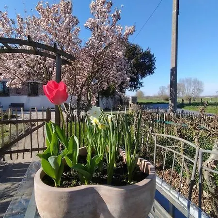 Rural La Ferme Du Semeur-zaaiershof Lessines