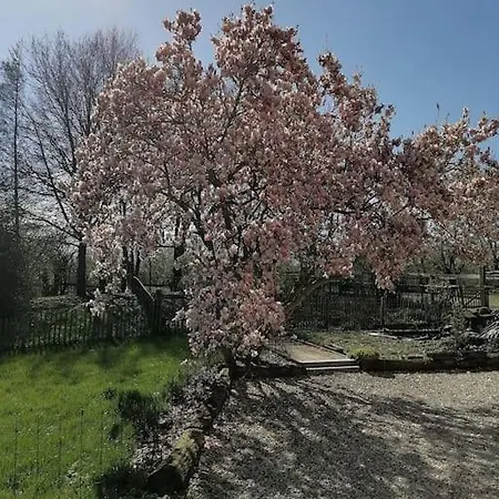 Rural La Ferme Du Semeur-zaaiershof *