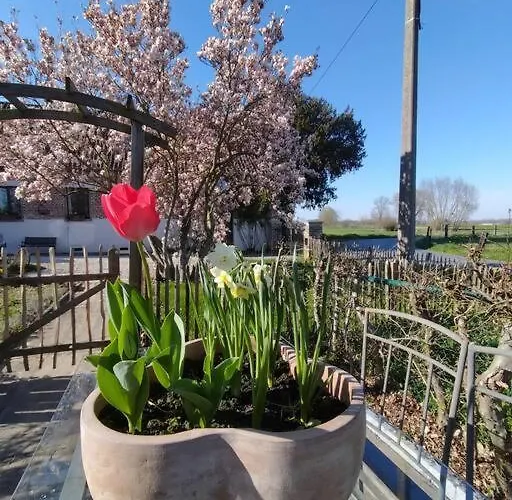 Rural La Ferme Du Semeur-zaaiershof Lessines